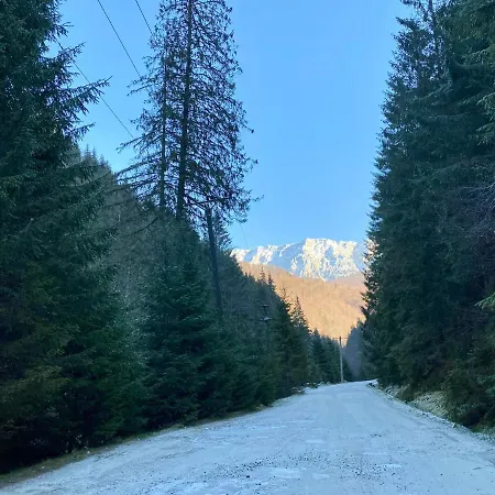 Caprioara - Piatra Craiului Dîmbovicioara