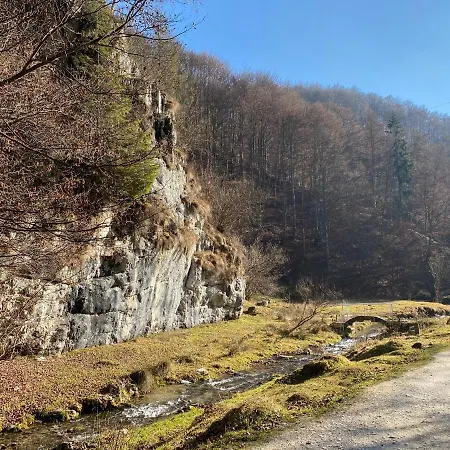 Caprioara - Piatra Craiului Villa