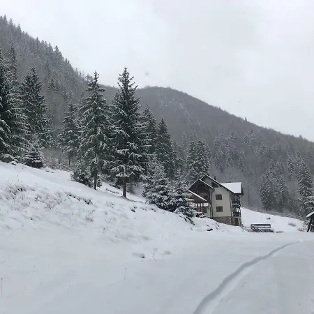 Caprioara - Piatra Craiului