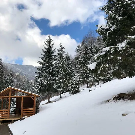 Villa Caprioara - Piatra Craiului *