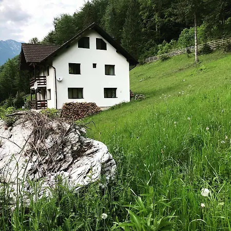 Villa Caprioara - Piatra Craiului *