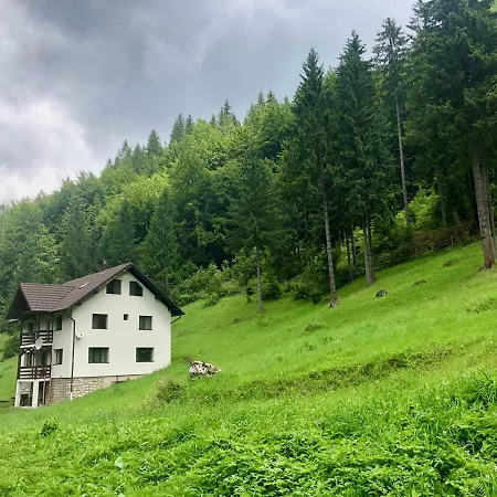 Caprioara - Piatra Craiului * Dîmbovicioara