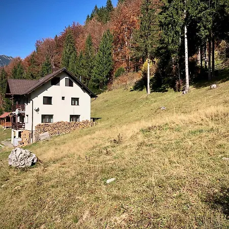Villa Caprioara - Piatra Craiului *