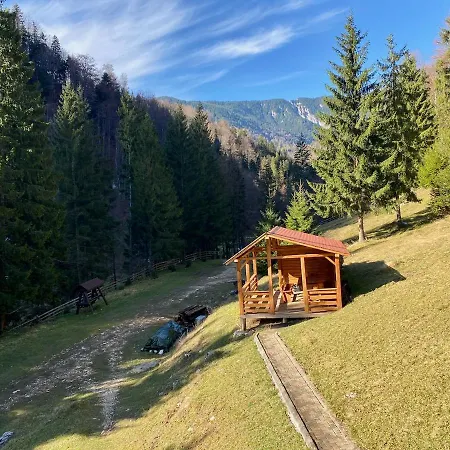 Caprioara - Piatra Craiului Villa